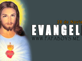 Evangelio del día, 28 de Noviembre de 2020