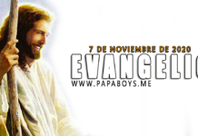 Evangelio del día, 7 de Noviembre de 2020