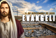 Evangelio del día, 11 de Noviembre de 2020