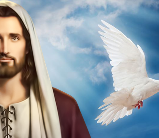 Evangelio del día, 1 de Diciembre de 2020
