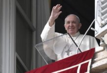 El Papa. Cercanía con víctimas de los huracanes en Centro América y Colombia