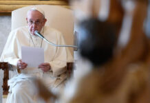 El Papa Francisco: audiencia general (18 de Noviembre)