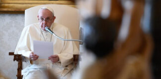 El Papa Francisco: audiencia general (18 de Noviembre)