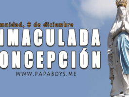 La Inmaculada Concepción de la bienaventurada Virgen María