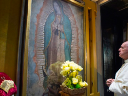 Misa del Papa Francisco