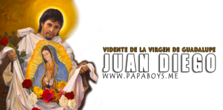 San Juan Diego Cuauhtlatoatzin, vidente de Guadalupe