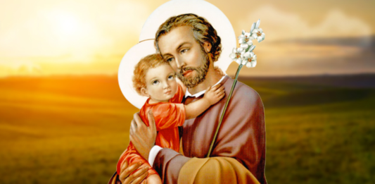 Año de San José