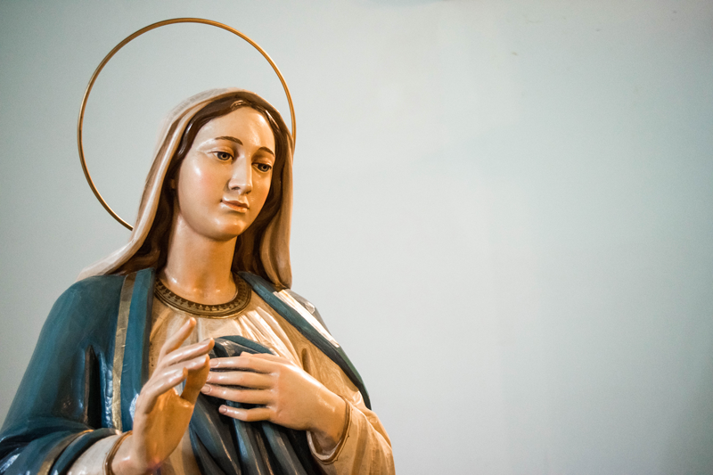 La Inmaculada Concepción de la bienaventurada Virgen María