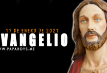 Evangelio y Comentario de hoy: Domingo, 17 de Enero de 2021