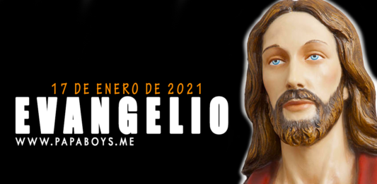 Evangelio y Comentario de hoy: Domingo, 17 de Enero de 2021