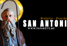 El Santo del día, 17 de Enero: San Antonio, abad