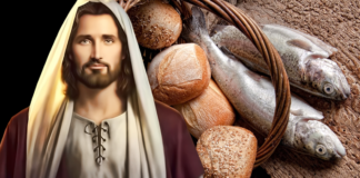 Evangelio y Comentario de hoy: Viernes, 8 de Enero de 2021