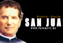 El Santo del día, 31 de Enero: San Juan Bosco, Fundador